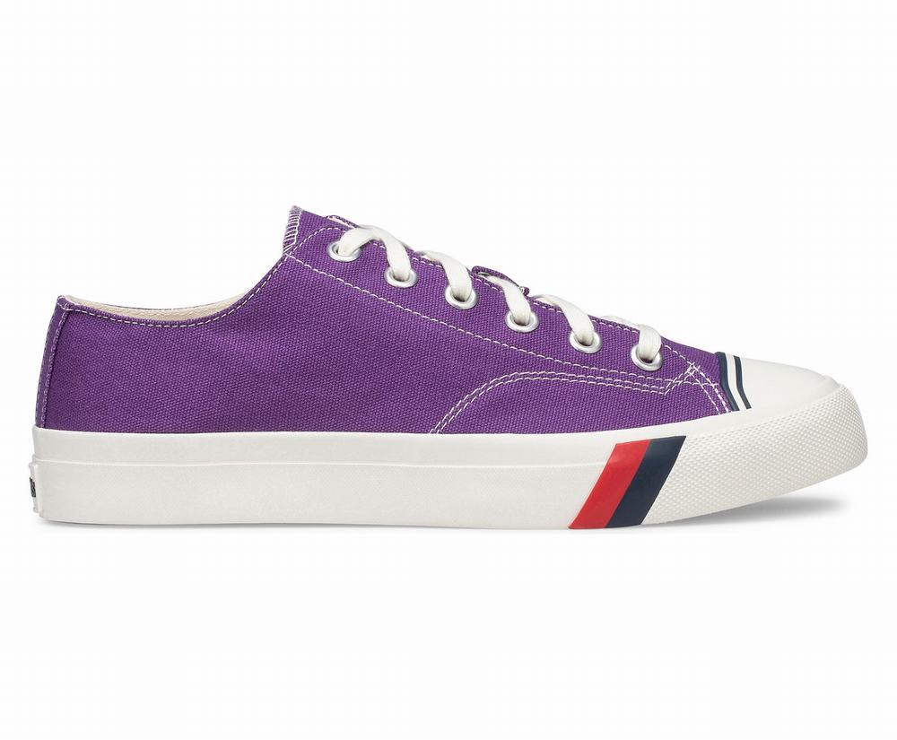 Women's Keds Royal Lo Low Top Sneakers Purple 5463908TD - South Africa